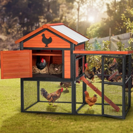 Crystal Chicken Coop